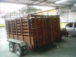 Camiones Pick-ups Sin datos  venta